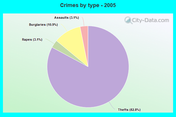 Crimes by type - 2005