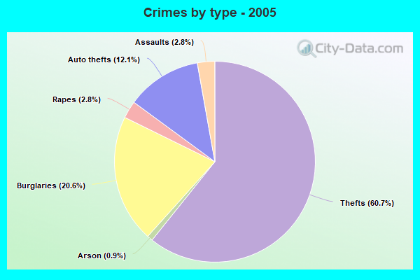 Crimes by type - 2005