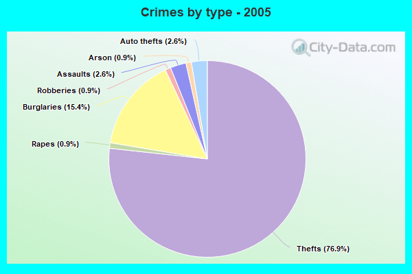 Crimes by type - 2005