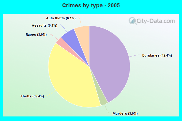 Crimes by type - 2005