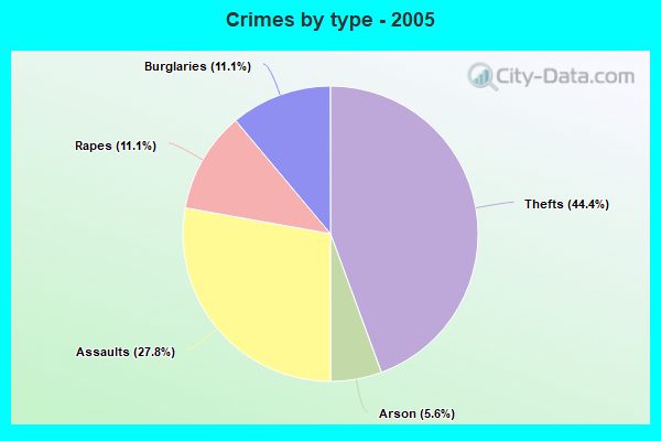 Crimes by type - 2005