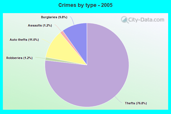 Crimes by type - 2005