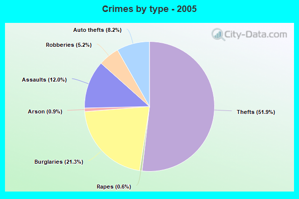 Crimes by type - 2005