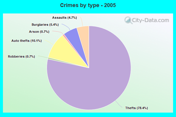 Crimes by type - 2005