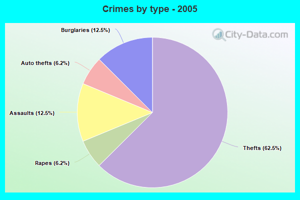 Crimes by type - 2005