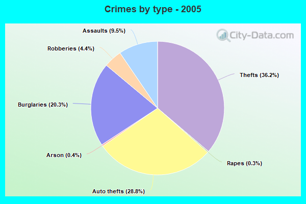 Crimes by type - 2005