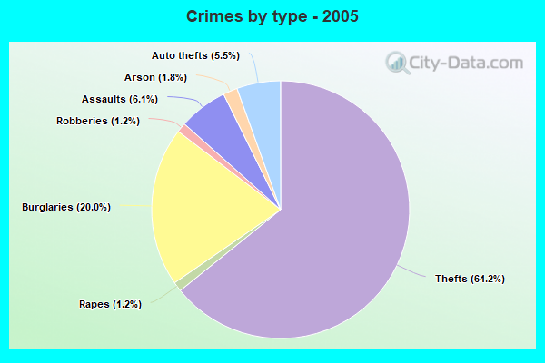 Crimes by type - 2005