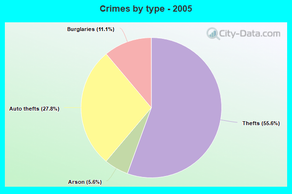 Crimes by type - 2005