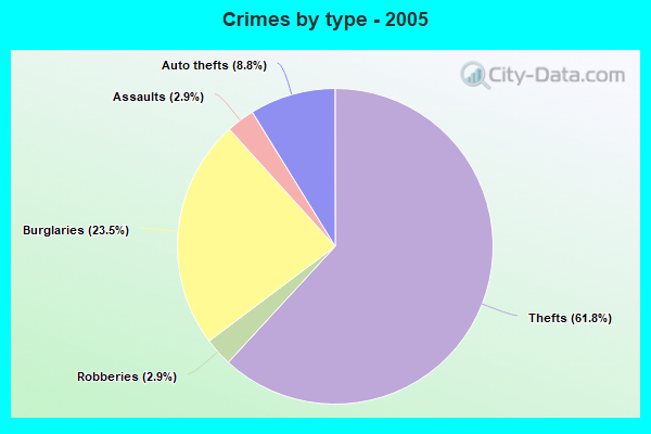 Crimes by type - 2005