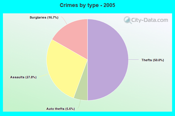 Crimes by type - 2005