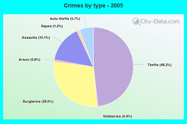 Crimes by type - 2005