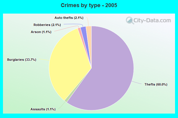 Crimes by type - 2005