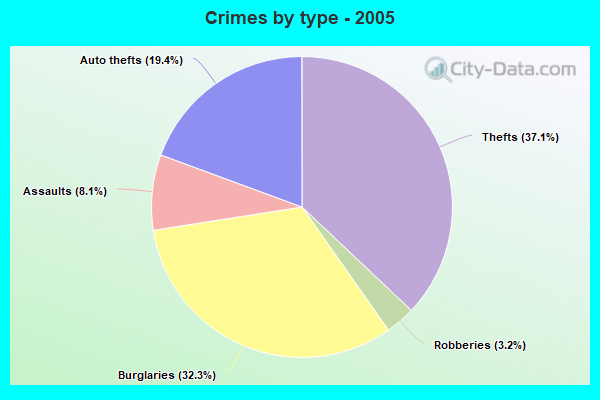 Crimes by type - 2005