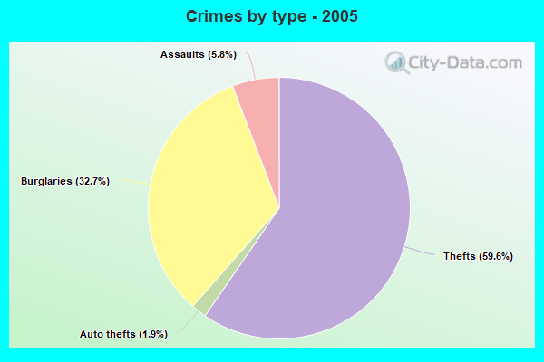 Crimes by type - 2005