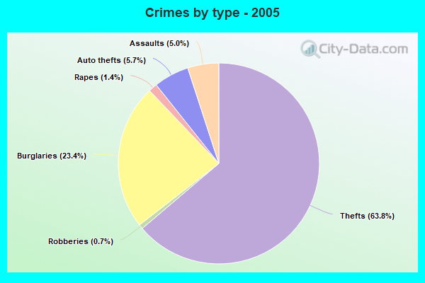 Crimes by type - 2005