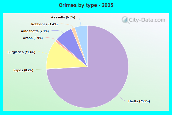 Crimes by type - 2005