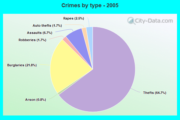 Crimes by type - 2005