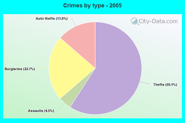 Crimes by type - 2005