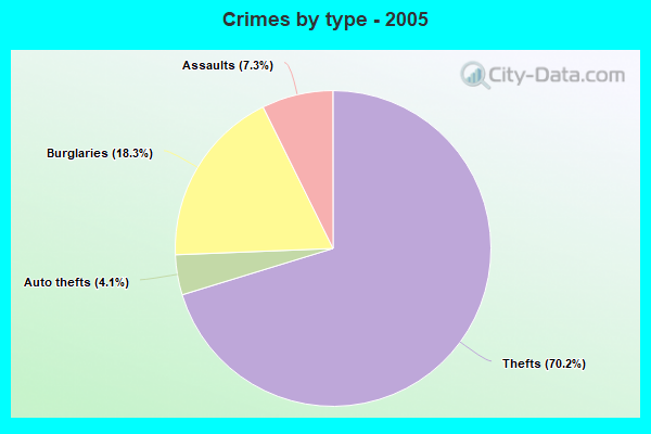 Crimes by type - 2005