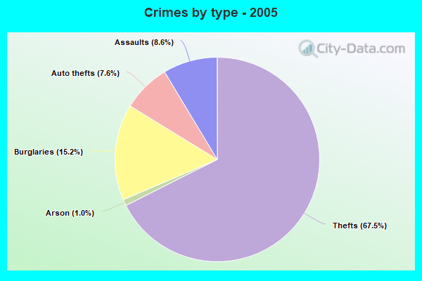 Crimes by type - 2005