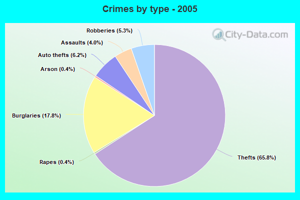 Crimes by type - 2005