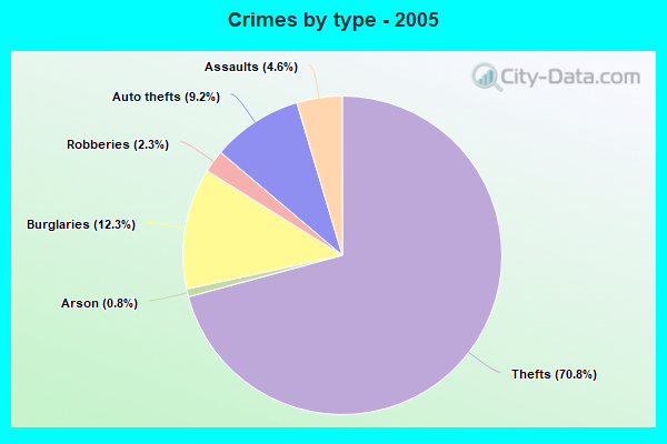 Crimes by type - 2005