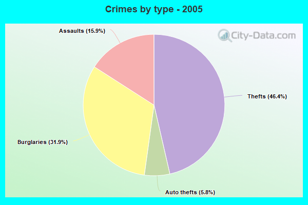 Crimes by type - 2005