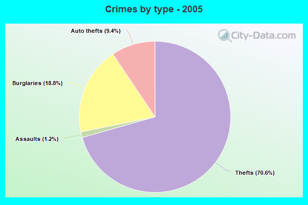 Crimes by type - 2005