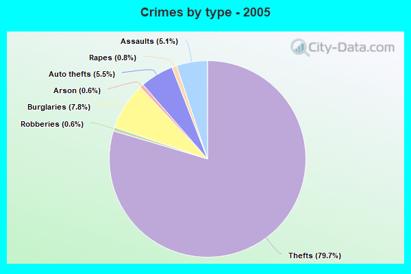 Crimes by type - 2005