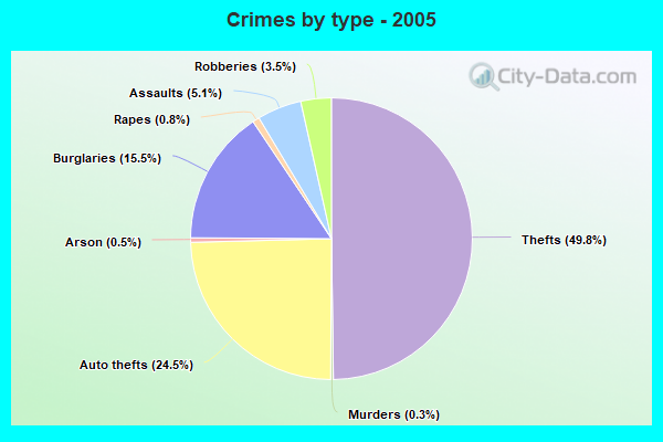 Crimes by type - 2005