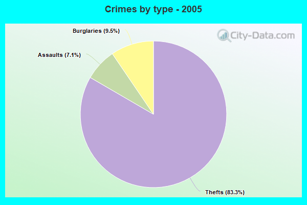 Crimes by type - 2005