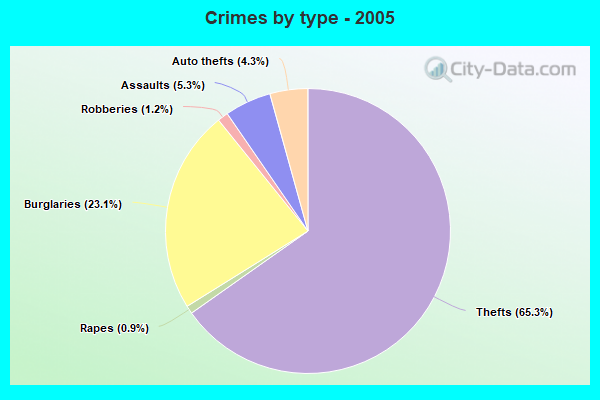 Crimes by type - 2005