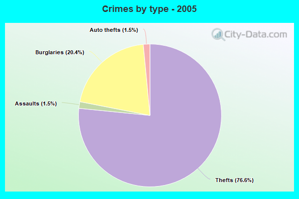 Crimes by type - 2005