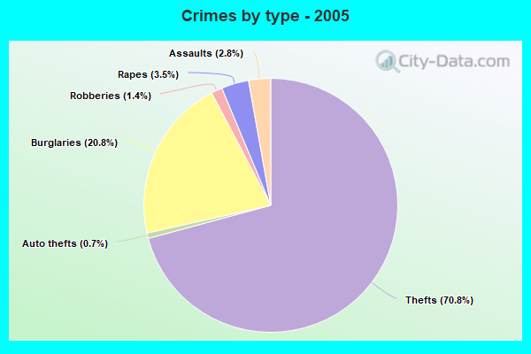 Crimes by type - 2005