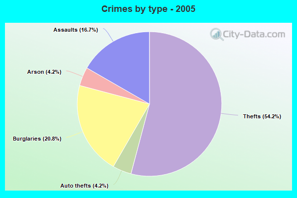 Crimes by type - 2005