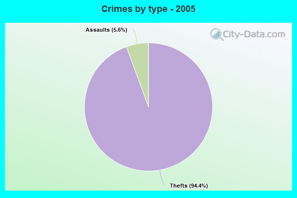 Crimes by type - 2005