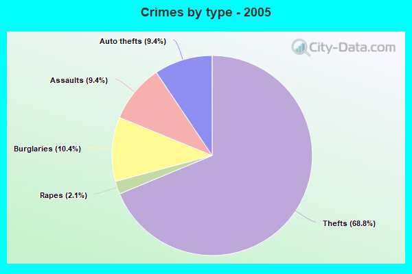 Crimes by type - 2005