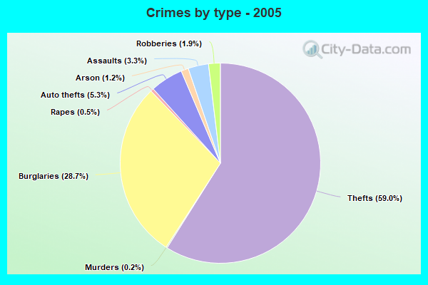 Crimes by type - 2005