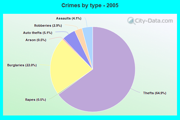 Crimes by type - 2005