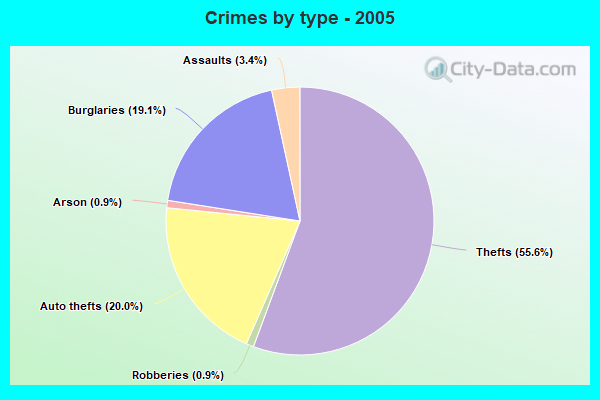 Crimes by type - 2005