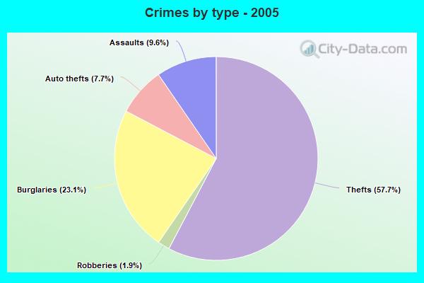 Crimes by type - 2005