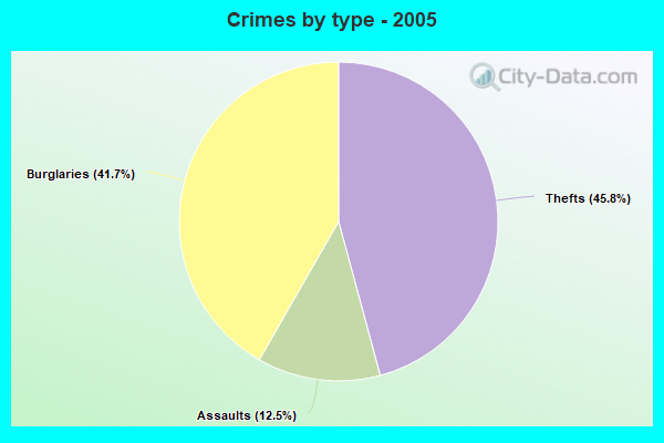 Crimes by type - 2005