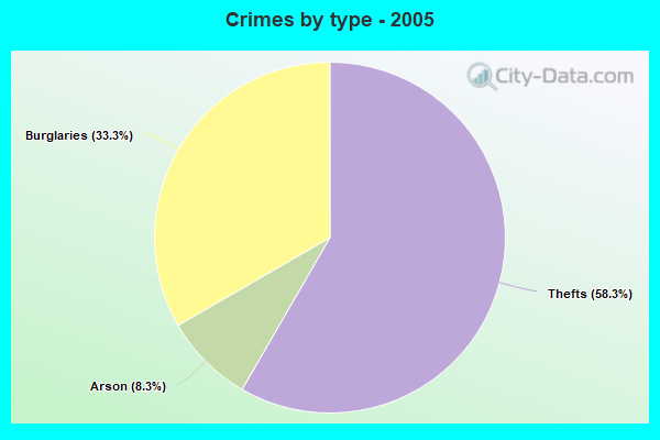 Crimes by type - 2005