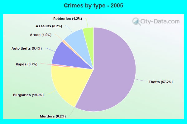 Crimes by type - 2005