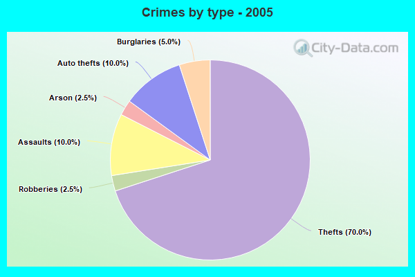 Crimes by type - 2005