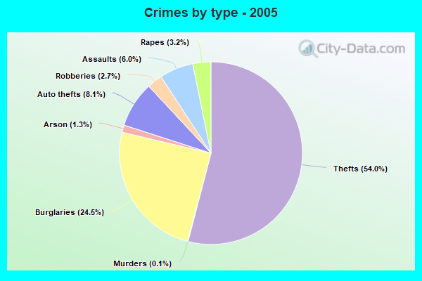 Crimes by type - 2005