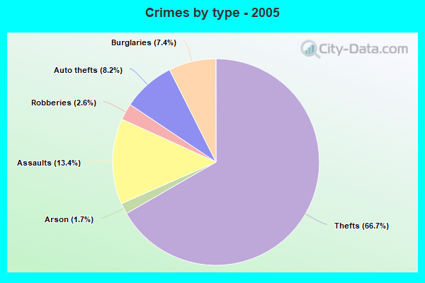 Crimes by type - 2005