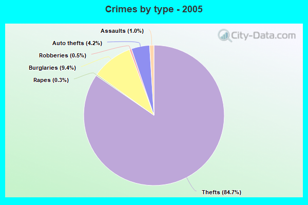 Crimes by type - 2005