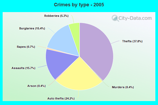 Crimes by type - 2005