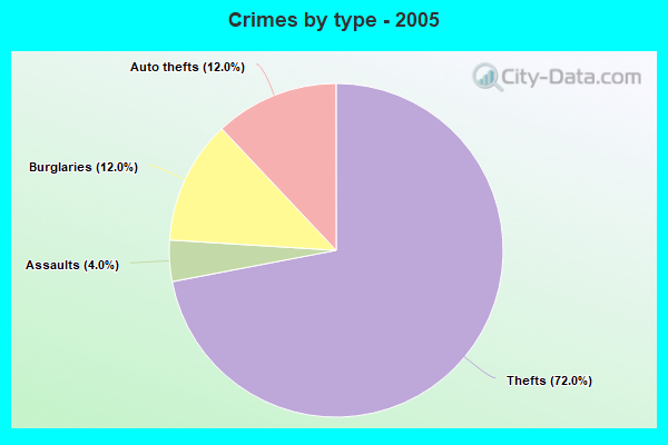 Crimes by type - 2005